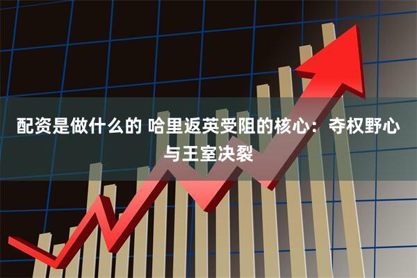 配资是做什么的 哈里返英受阻的核心：夺权野心与王室决裂